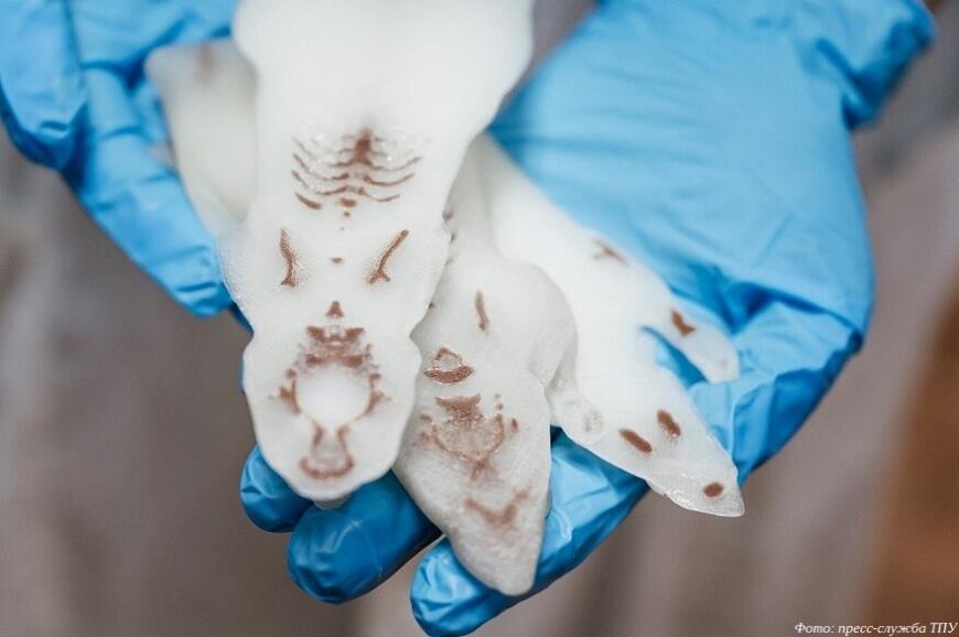 Томские ученые разработали 3D-печатные фантомы лабораторных животных