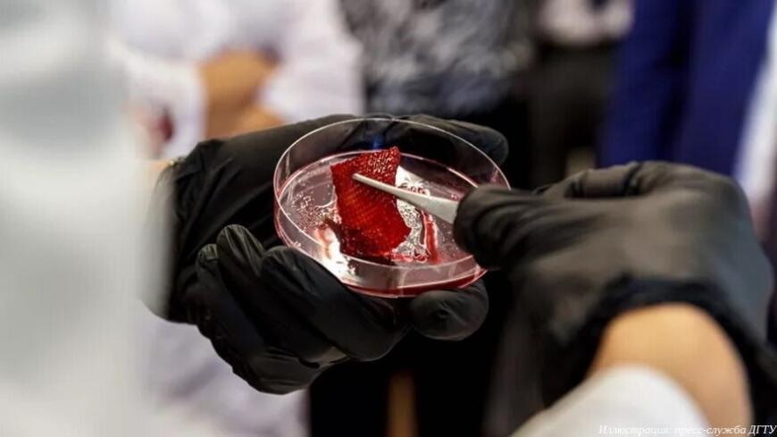 Ученые ДГТУ разрабатывают технологию 3D-печати мясных продуктов