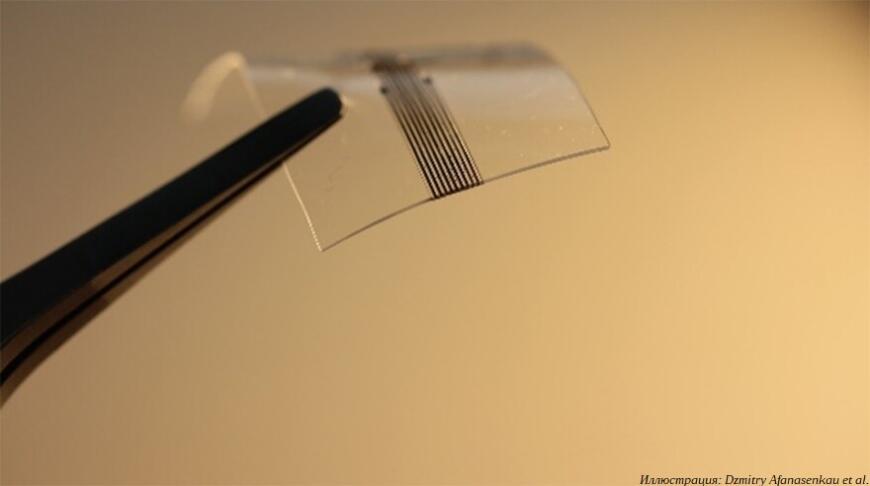 Петербургские ученые применяют гибридную 3D-печать в производстве нейропротезов