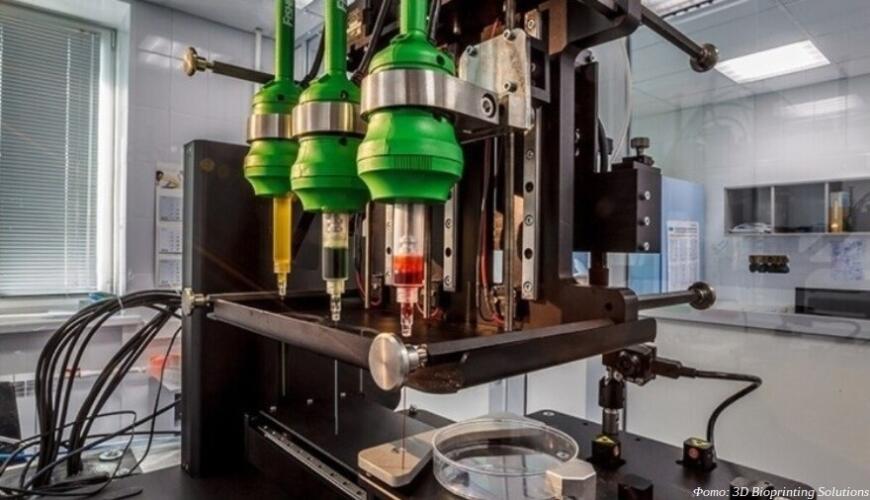 «Магнит» опробует сколковский пищевой 3D-принтер