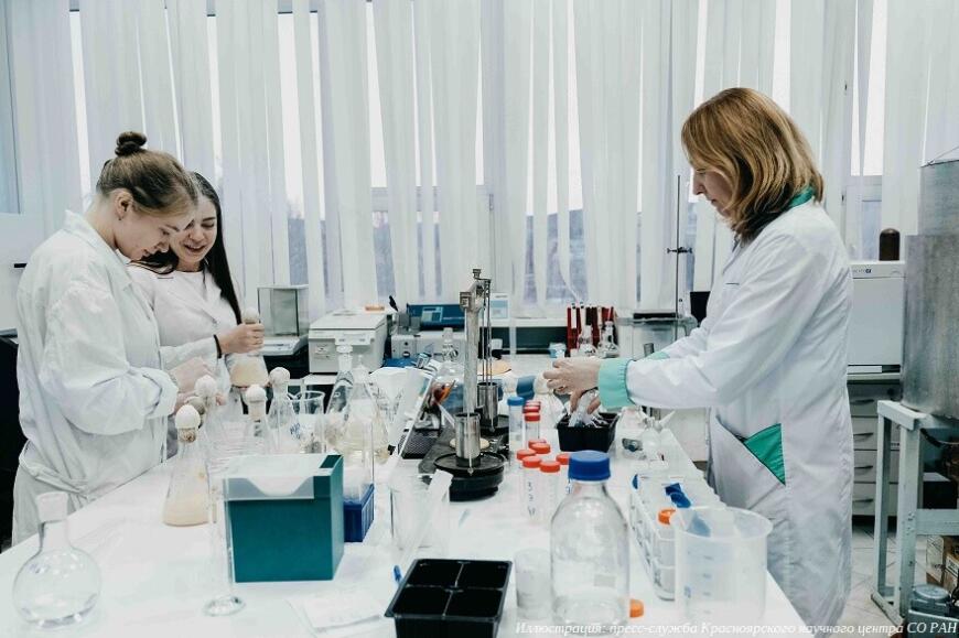 Красноярские ученые получили биополимер из рыбных отходов