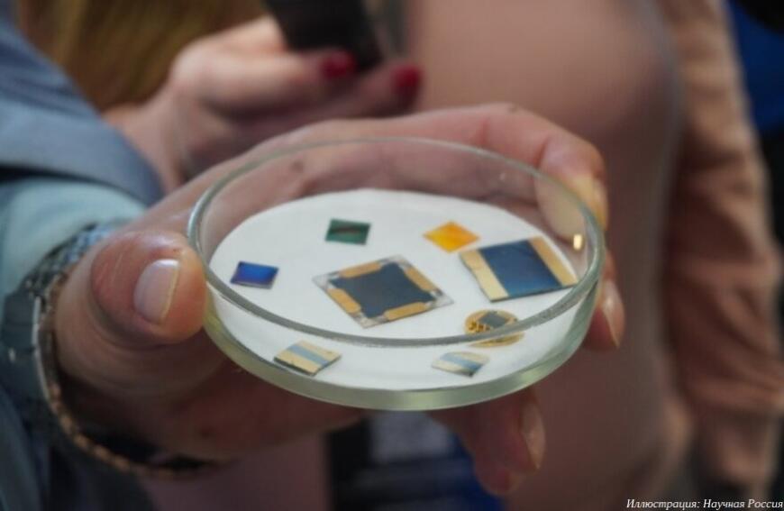 Нижегородские ученые разрабатывают «электронный нос»