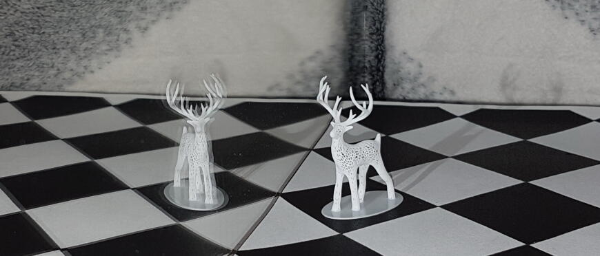 Flashforge Foto 8.9" - так ли всё красиво?  (скучные записки неофита)