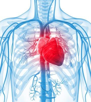 3D-печатная заплатка для сердца поможет восстановить ткани после инфаркта