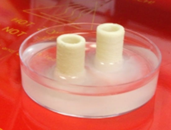 Исследования в сфере 3D-биопечати могут привести к трансплантации живых тканей человеческого тела