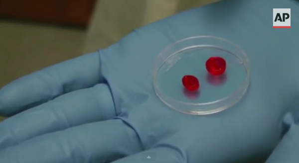 Ученые пытаются напечатать работающее человеческое сердце из жировых клеток 