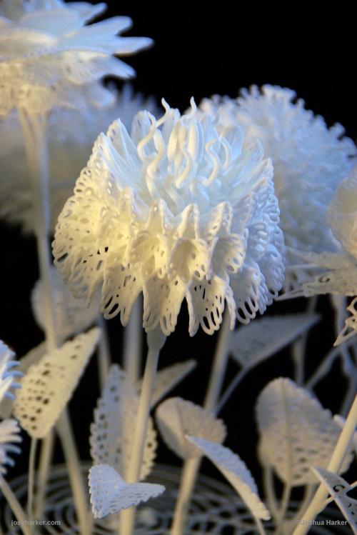 Джошуа Харкер дебютирует на Выставке 3D-печати с трехмерными портретами и цветочной филигранью