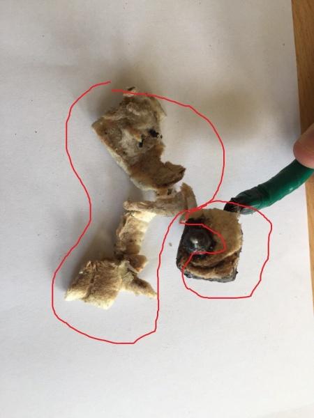 Забился экструдер и порван утеплитель PICASO 3D Designer