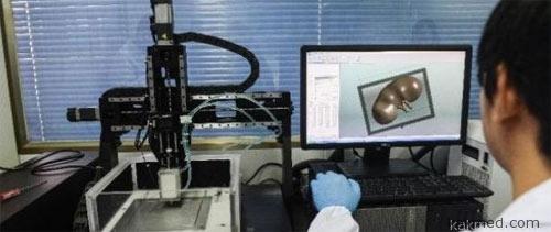 Китайцы научились печатать живые почки на 3D-принтере