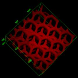 3D-печатные гидрогелевые нанокомпозиты помогают очистить кровь от токсинов
