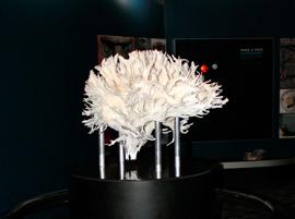 Институт Франклина напечатал сложную модель белого вещества мозга человека