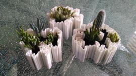 Дендриты - уникальные 3D-печатные цветочные горшки на основе алгоритмов