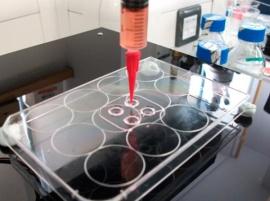 Исследования в сфере 3D-биопечати могут привести к трансплантации живых тканей человеческого тела