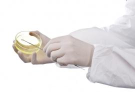 Organovo подписывает соглашение с Uniquest на совместное создание 3D-печатной ткани почки