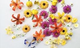 Доцент факультета искусств печатает цветы, которые находятся под угрозой исчезновения