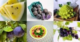 Кэмбриджская дизайнерская студия Dovetailed изобрела «фруктовый» 3D-принтер