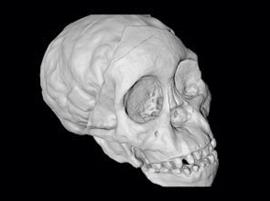 Археологи используют 3D-печать