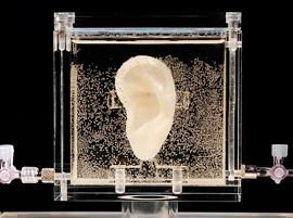 3D-печать вернула к жизни отрезанное ухо Ван Гога