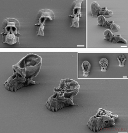 Исследователи используют 3D-печать для изучения бактерий на микроскопическом уровне Исследователи используют 3D-печать для изучения бактерий на микроскопическом уровне