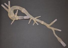 Materialise и ученые ЕС работают над «умными» сердечными катетерами