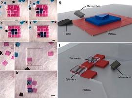 Наработки по использованию микророботов для 3D-печати донорских органов