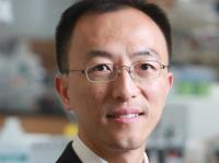 Новые достижения ученых в области 3D-биопечати живых тканей