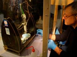 В Голландии 3D-принтеры печатают грибами