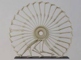 3D-принтер и изделия: "Колесо Жизни" от чешского дизайнера Моники Горциковой