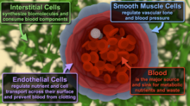3D-биопечать: критический анализ