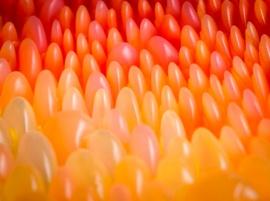 3D-печатная акустическая кушетка «Близнецы» от Нери Оксман