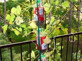 3DPonics опубликовала бесплатный дизайн 3D-печатной гидропонной системы