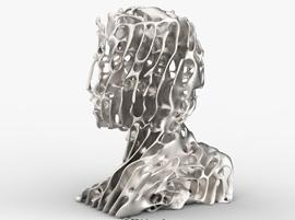 3D-печатный Человек Реакционной Диффузии от Dizingof 