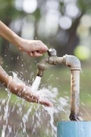 Английские ученые напечатали биосенсор для мгновенного определения качества воды