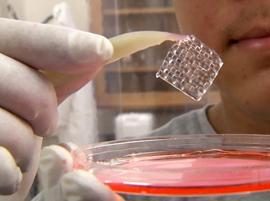 Технология беспилотных автомобилей простимулирует развитие 3D-Биопечати