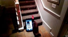 Вместе с LazeeEye вы сможете превратить свой смартфон в 3D-камеру