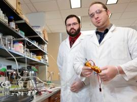 Новый экструдер может снизить издержки на печать клеточных тканей для тестирования лекарств