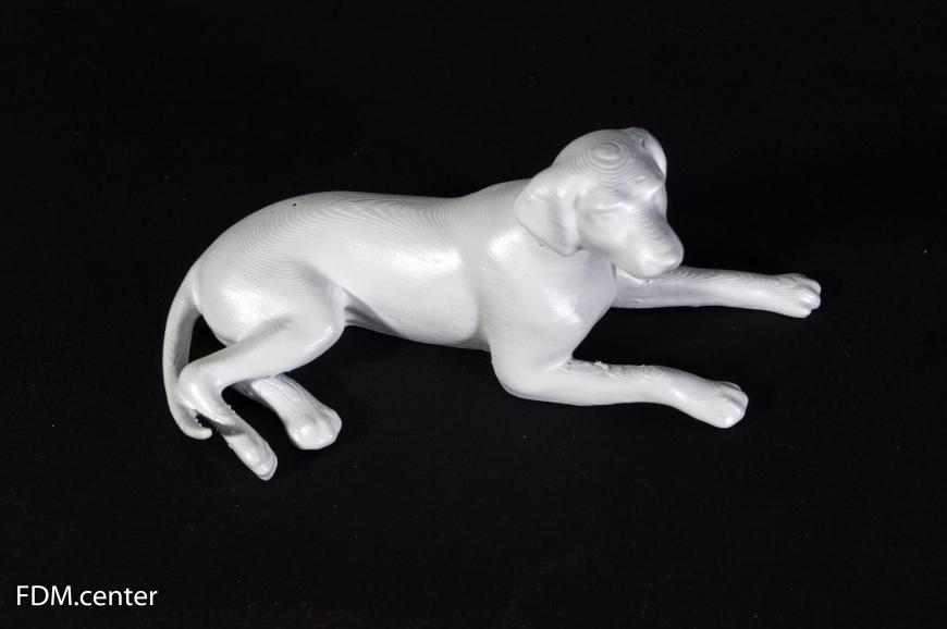 Далматинец альбинос