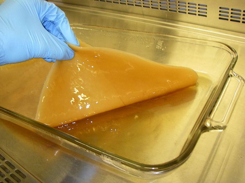 Ученые предлагают печатать кровеносные сосуды из… сока