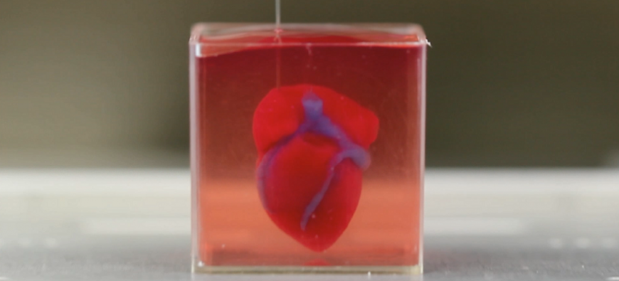 В Израиле не напечатали на 3D-принтере живое сердце