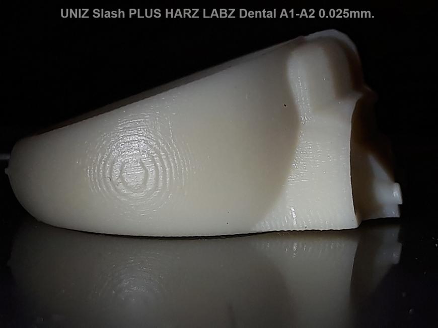 UNIZ Slash PLUS и HARZ LABZ, Dental Cast RED и A1-A2