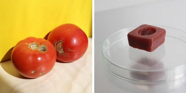 Дизайнеры из ЮАР используют 3D-принтер для переработки бракованных овощей во вкусное желе