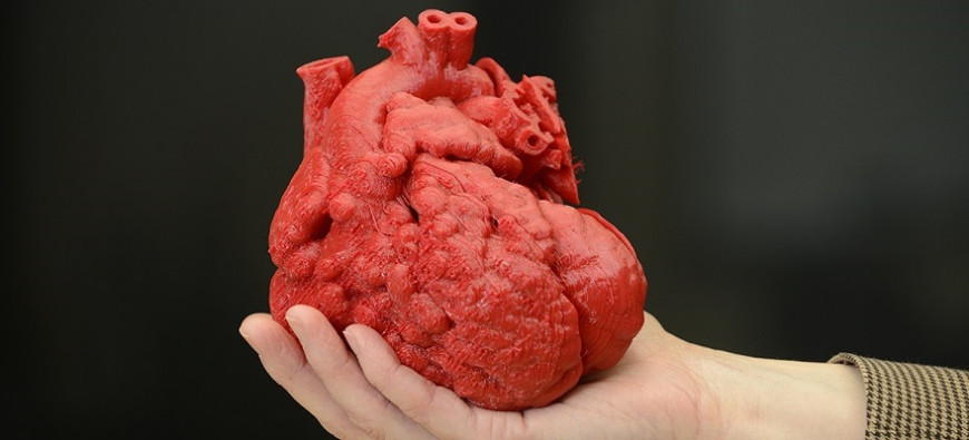 В Нижнем Новгороде обсудят развитие 3D-технологий в российской медицине