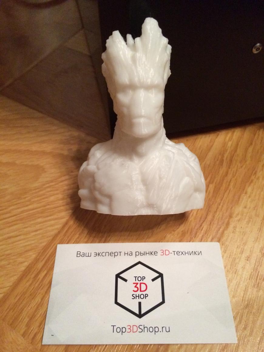 Отзыв о московском Top3DShop
