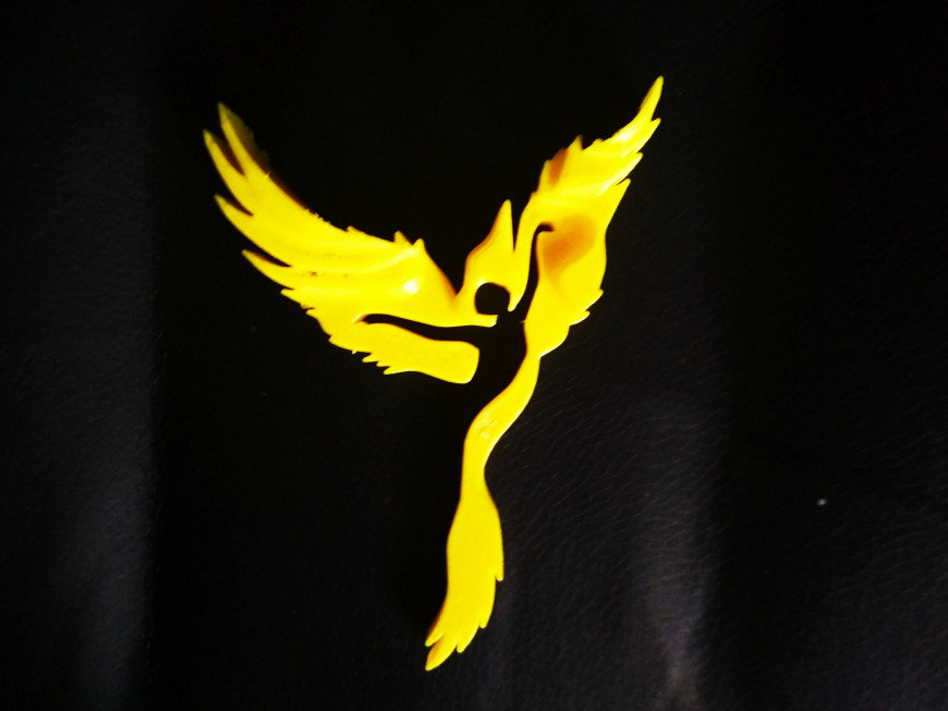 Мои первые работы. Внук доволен.