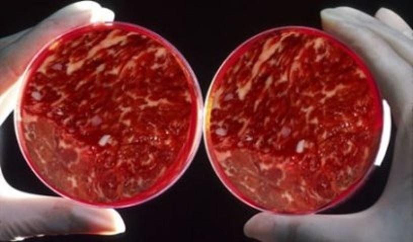Наследник Рокфеллеров инвестирует в производителя 3D-печатного мяса