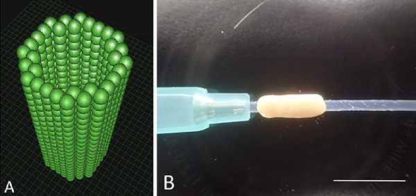 Японские ученые восстанавливают нервы с помощью 3D-печатных имплантатов