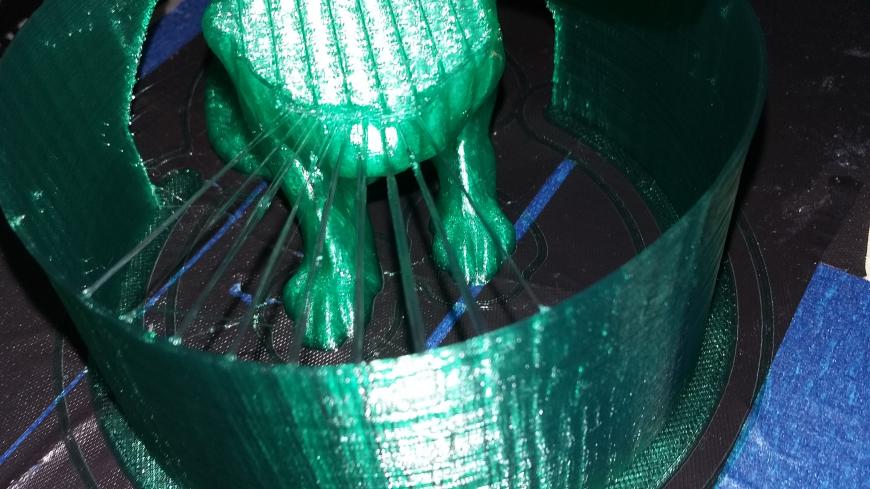 Лев с гривой