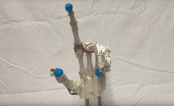 Школьники создали 3D-печатную биомиметическую роборуку