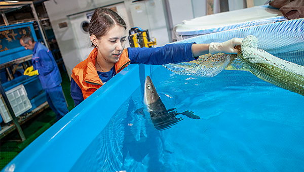 3Dtoday за 60 секунд от 13 июля