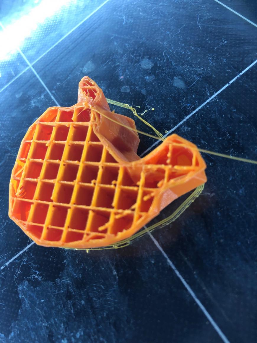 Проблема c PETG.